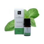 BASIL.webp
