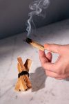 palo_santo.1080_v2_1024x1024@2x.webp